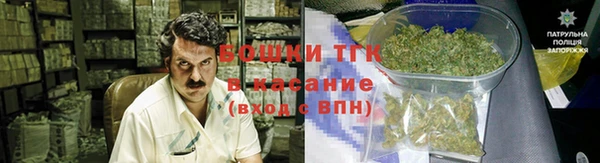 тгк Няндома