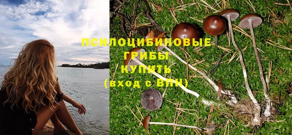 бошки Нягань