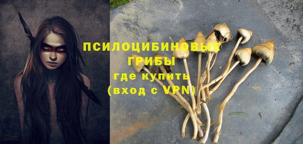 бошки Нягань