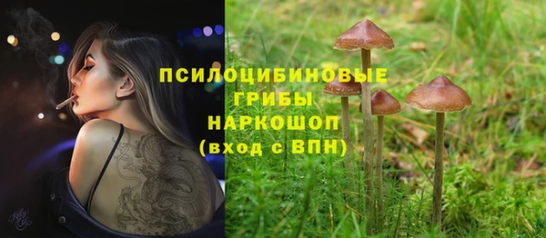 тгк Няндома