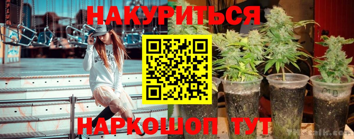 Конопля планчик Астрахань